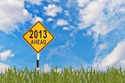 2013: Great Expectations For Marketing ROI